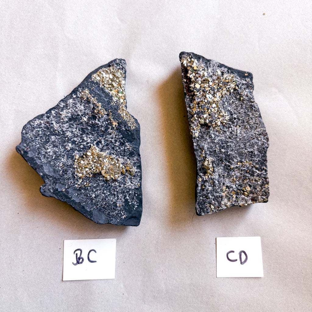 Pyrite cluster on Shungite crystal raw stone