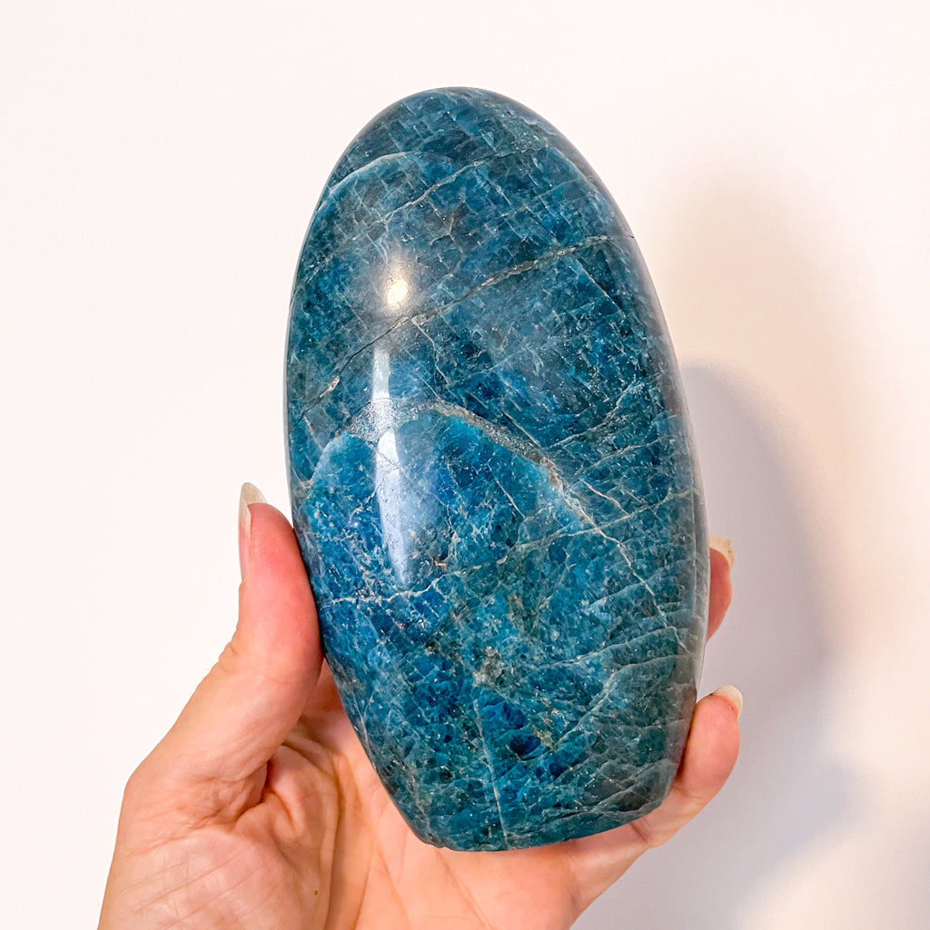 Apatite polished freeform crystal