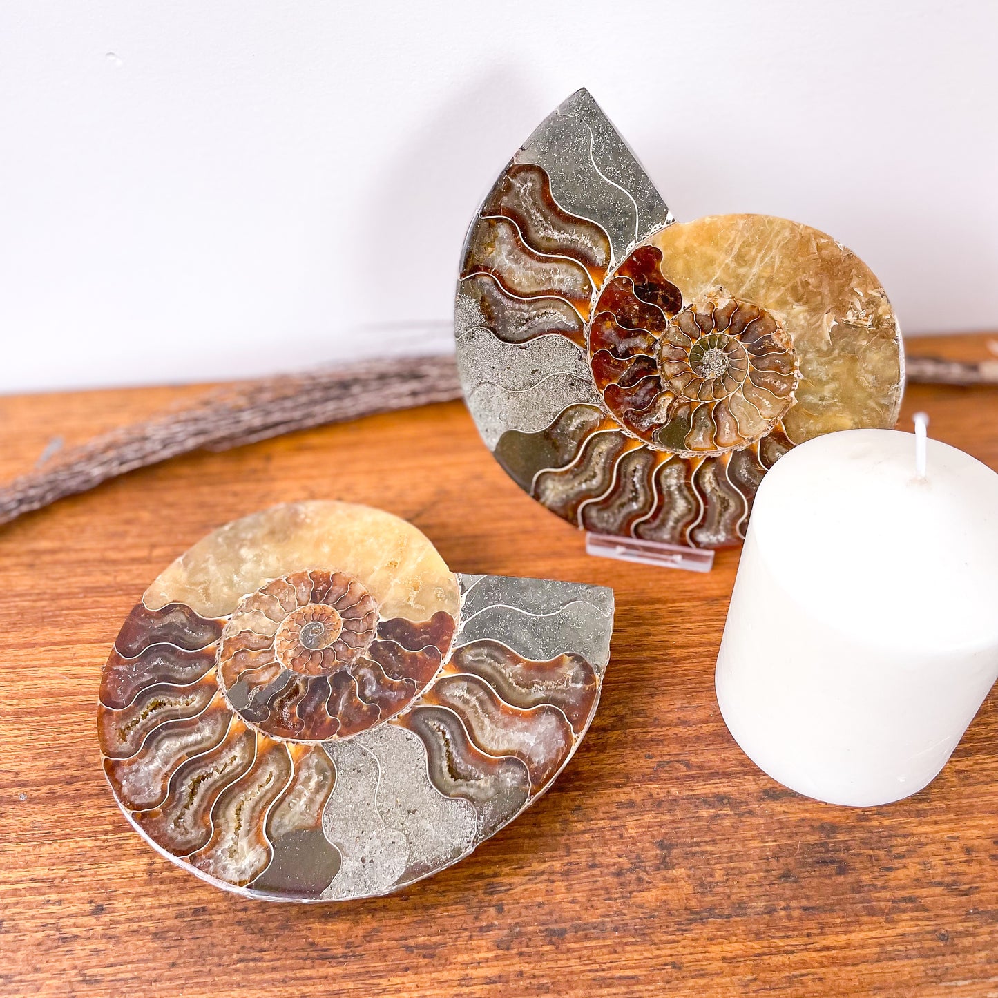 Ammonite half fossil crystal shell XL