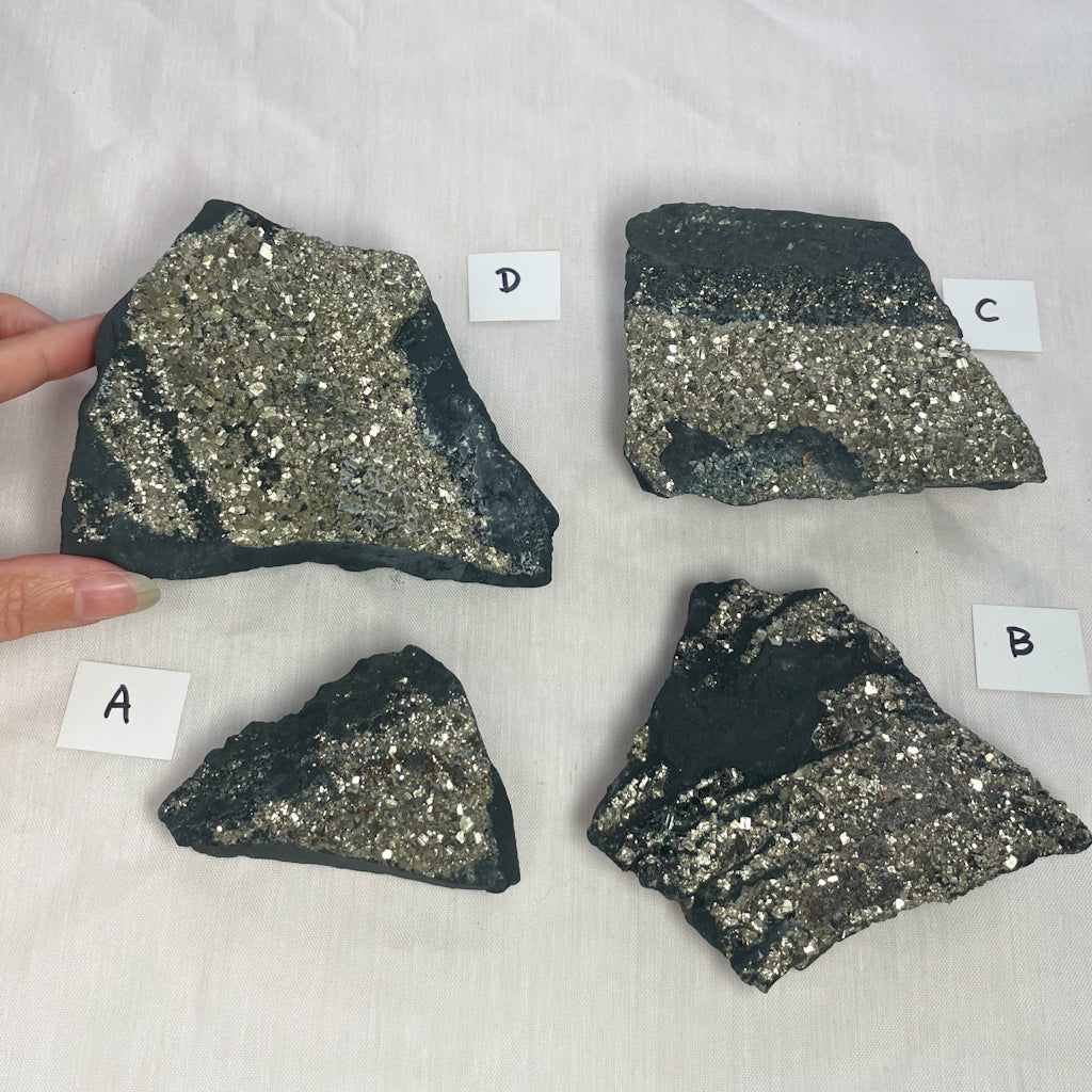 Pyrite cluster on Shungite crystal raw stone