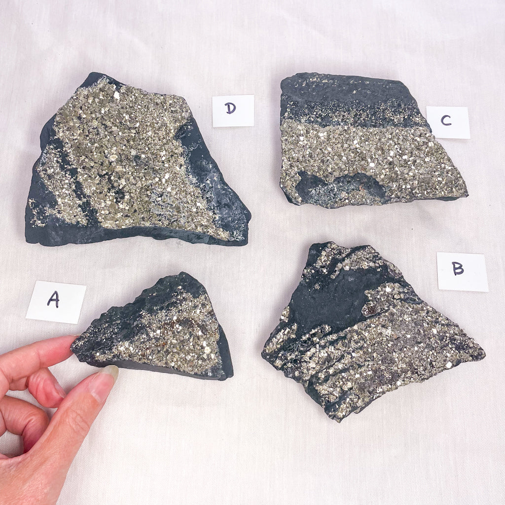 Pyrite cluster on Shungite crystal raw stone