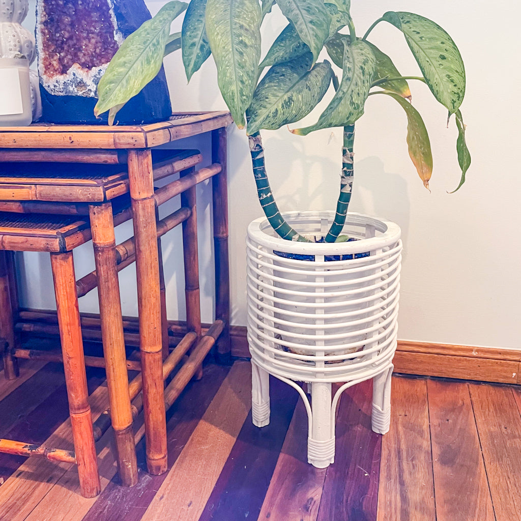 Islander white wash rattan basket plant stand