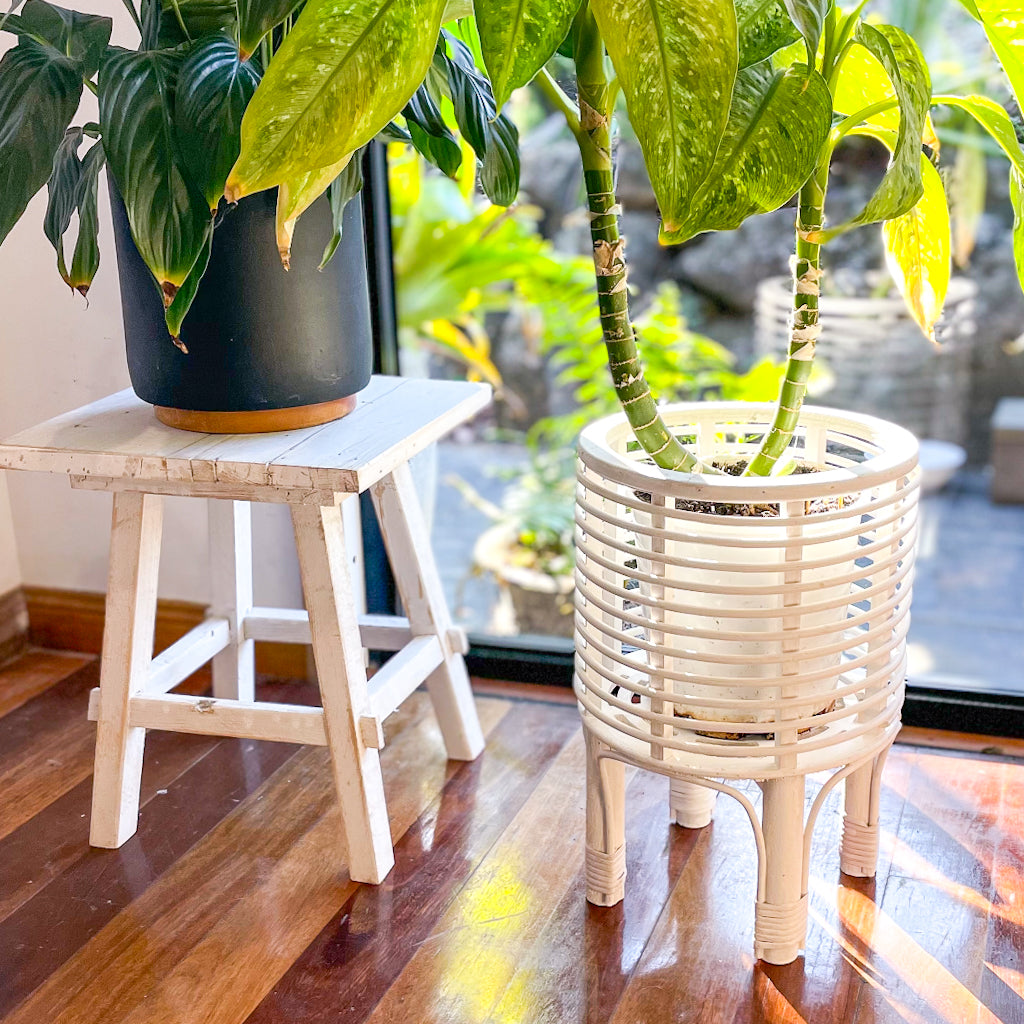 Islander white wash rattan basket plant stand