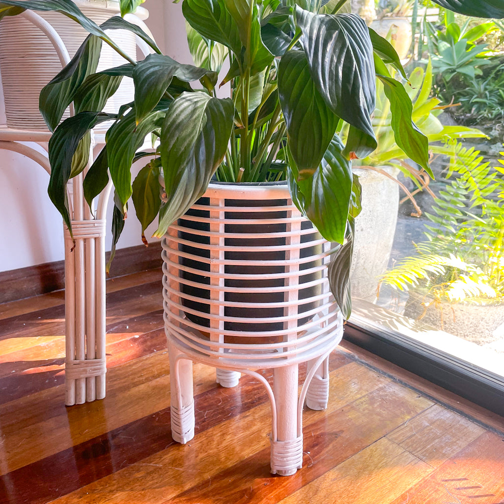 pot plant stand australia Islander white wash rattan basket plant stand – Long Island Trader Australia