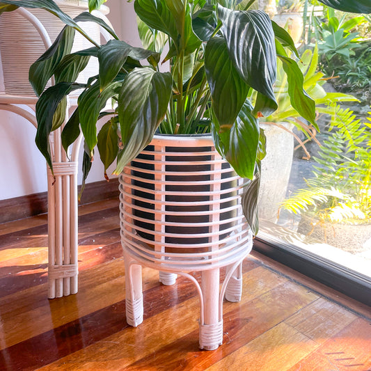 Islander white wash rattan basket plant stand