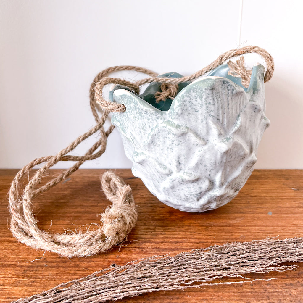 Blue ocean cabbage leaf hanging planter pot