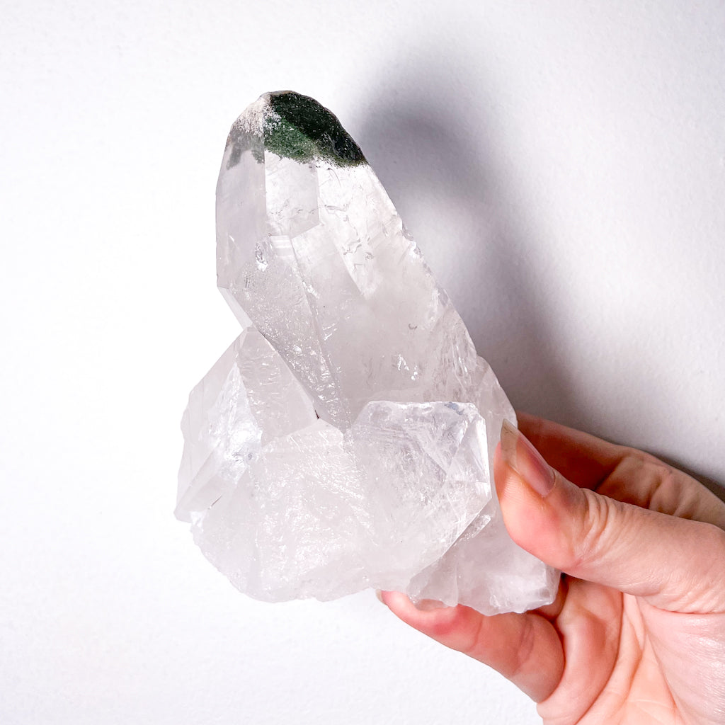 Phantom chlorite clear quartz crystal cluster point