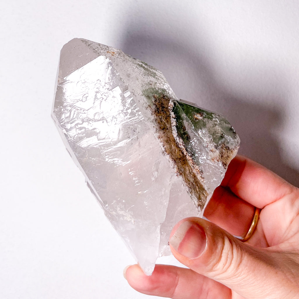 Phantom chlorite clear quartz crystal cluster point