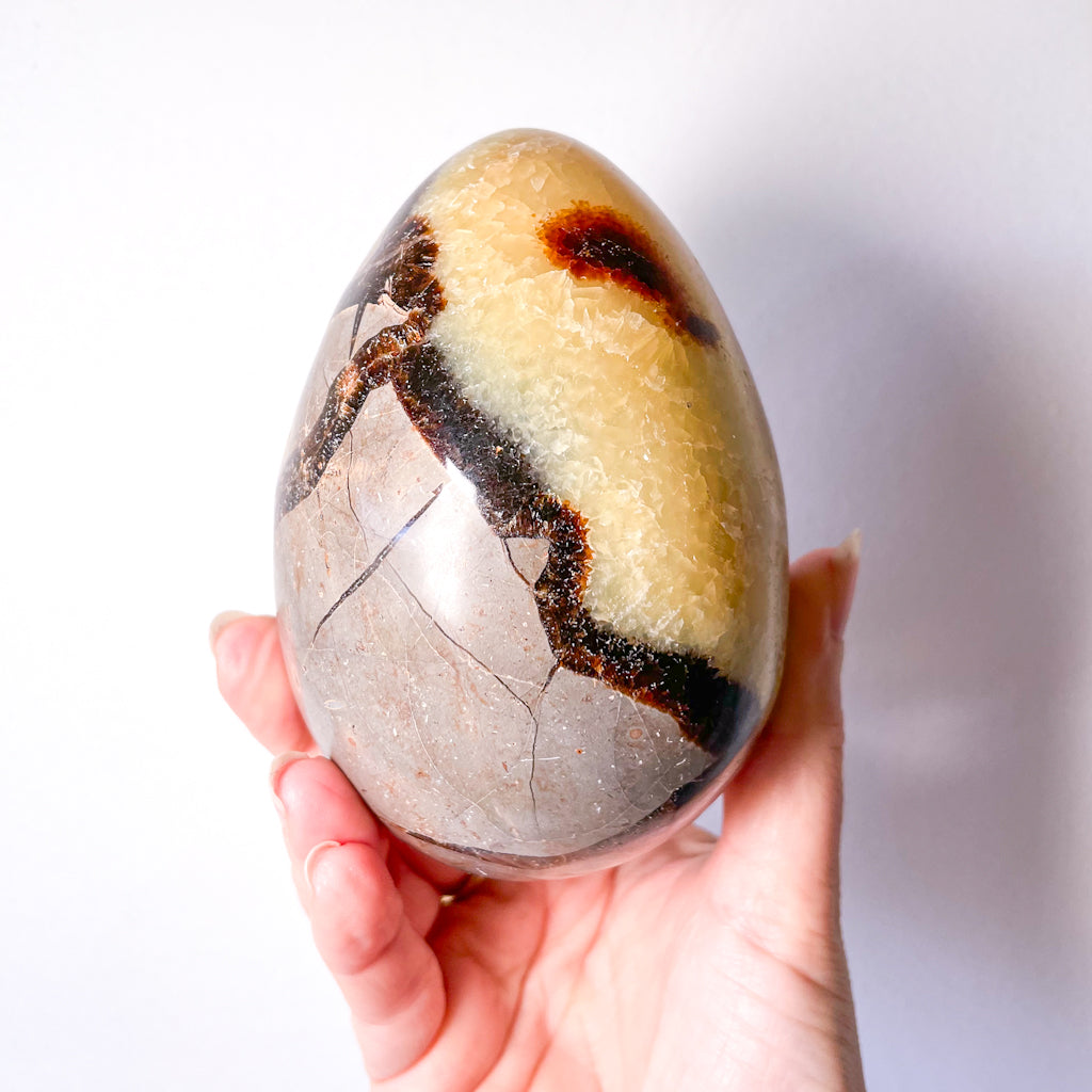 Septarian nodule crystal egg XL with gold stand