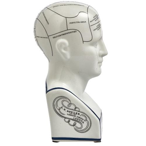 Vintage original phrenology head bust statue