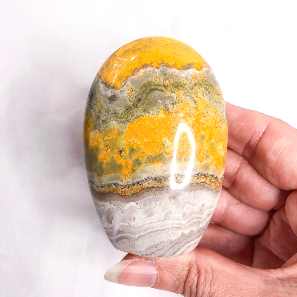Bumblebee Eclipse jasper crystal polished freeform