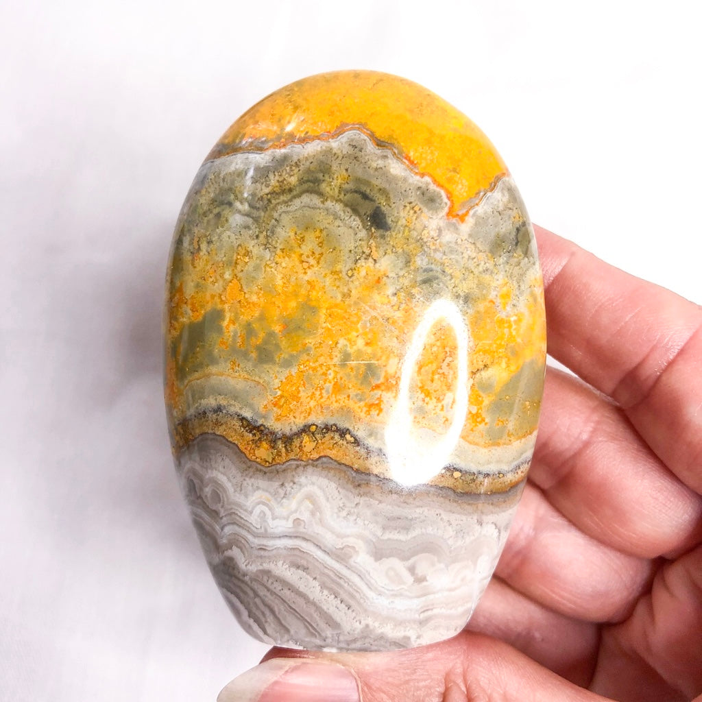 Bumblebee Eclipse jasper crystal polished freeform