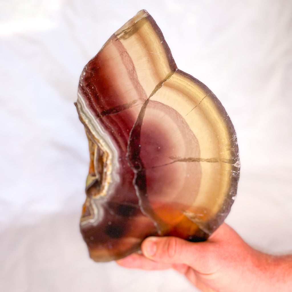 Fluorite yellow purple polished crystal slab XL lamp light