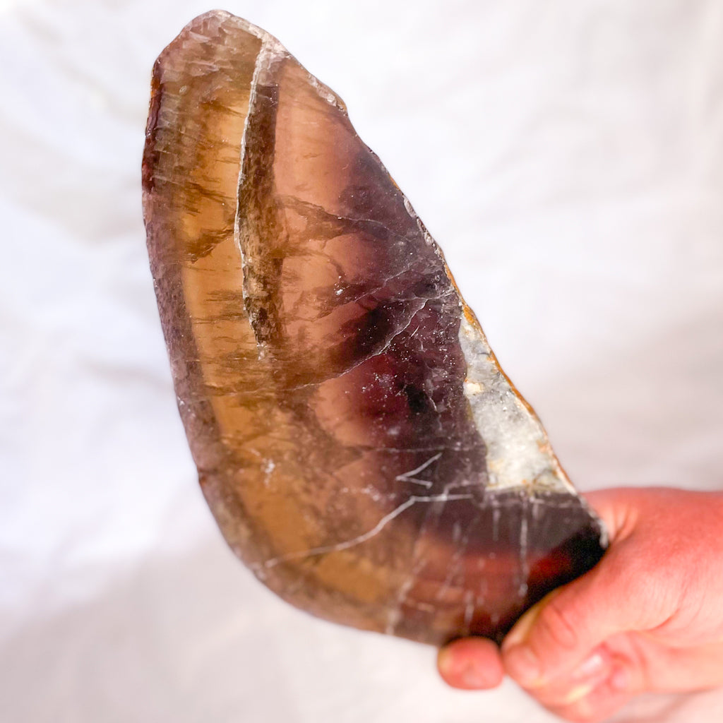 Fluorite yellow purple polished crystal slab XL2