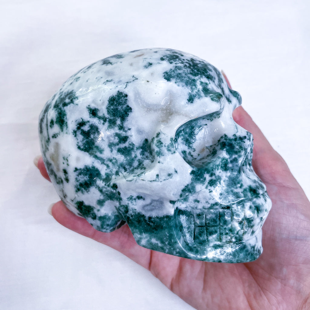 Moss agate crystal skull L 680g