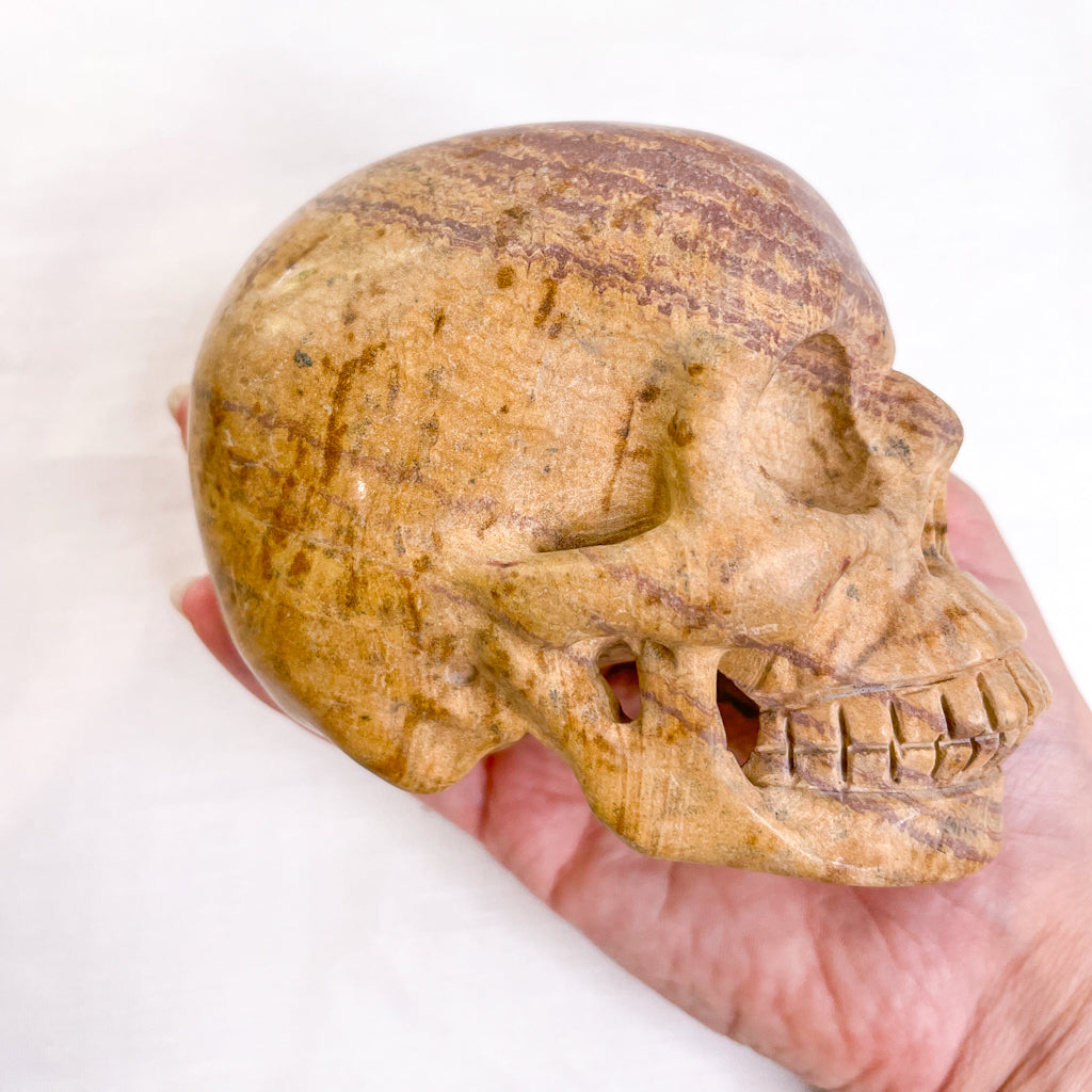 Picture jasper crystal skull L2 680g
