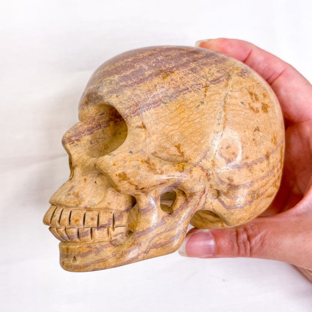 Picture jasper crystal skull L2 680g