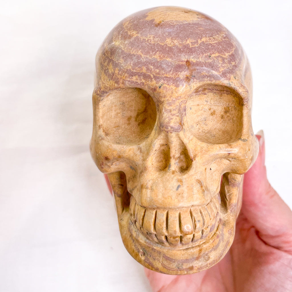 Picture jasper crystal skull L2 680g