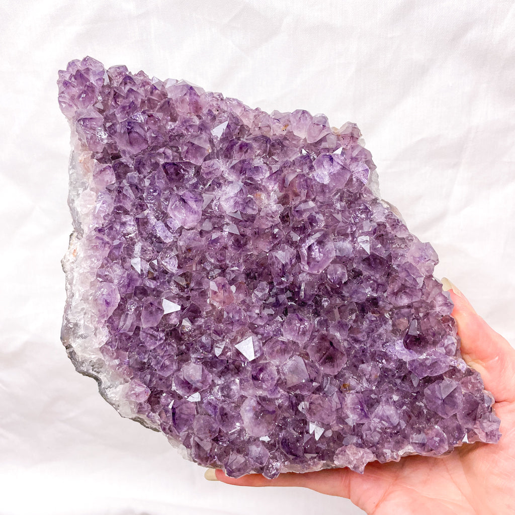 Amethyst A grade crystal cluster XL 1.6kg