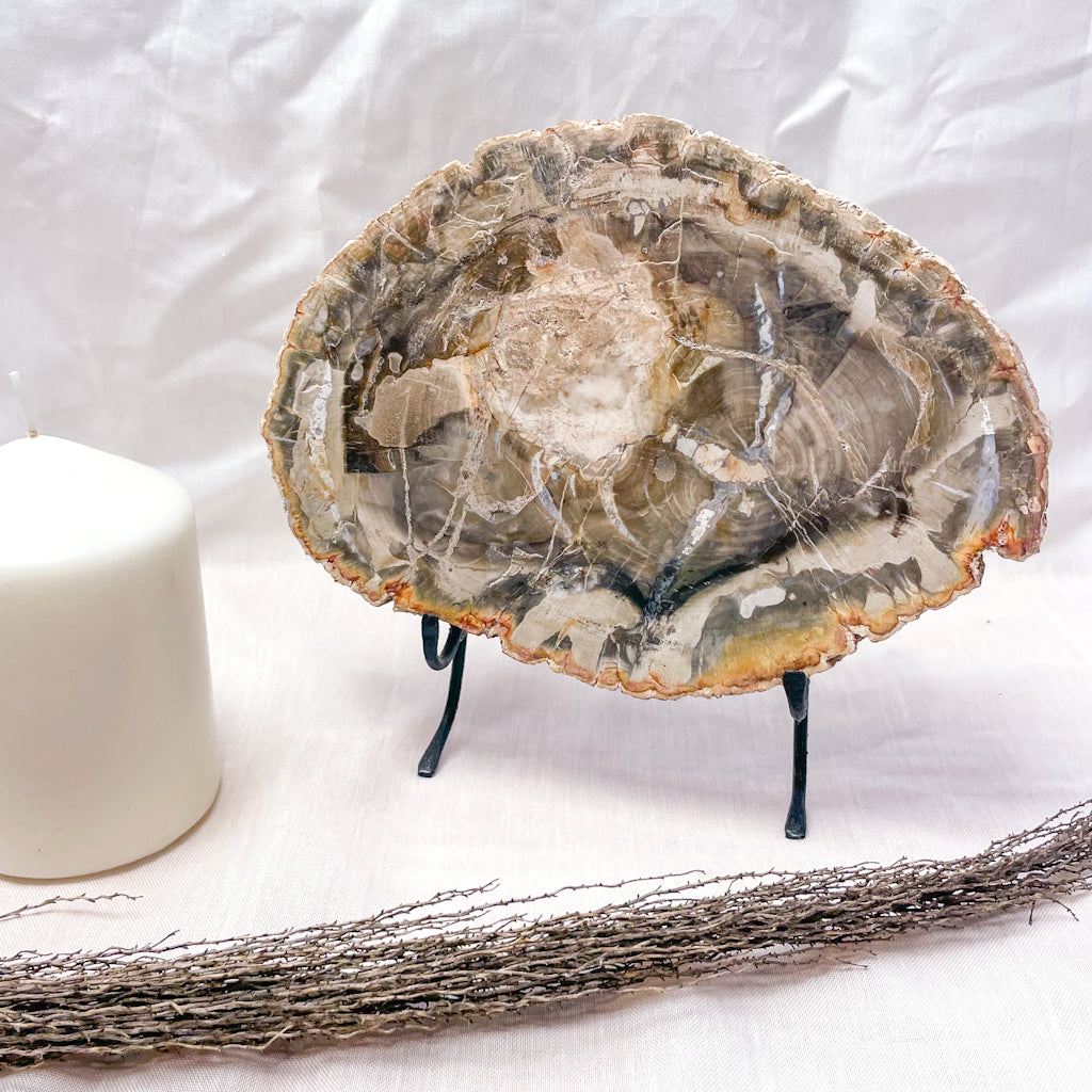 Quartz crystal fossil wood slice slab 1.1kg