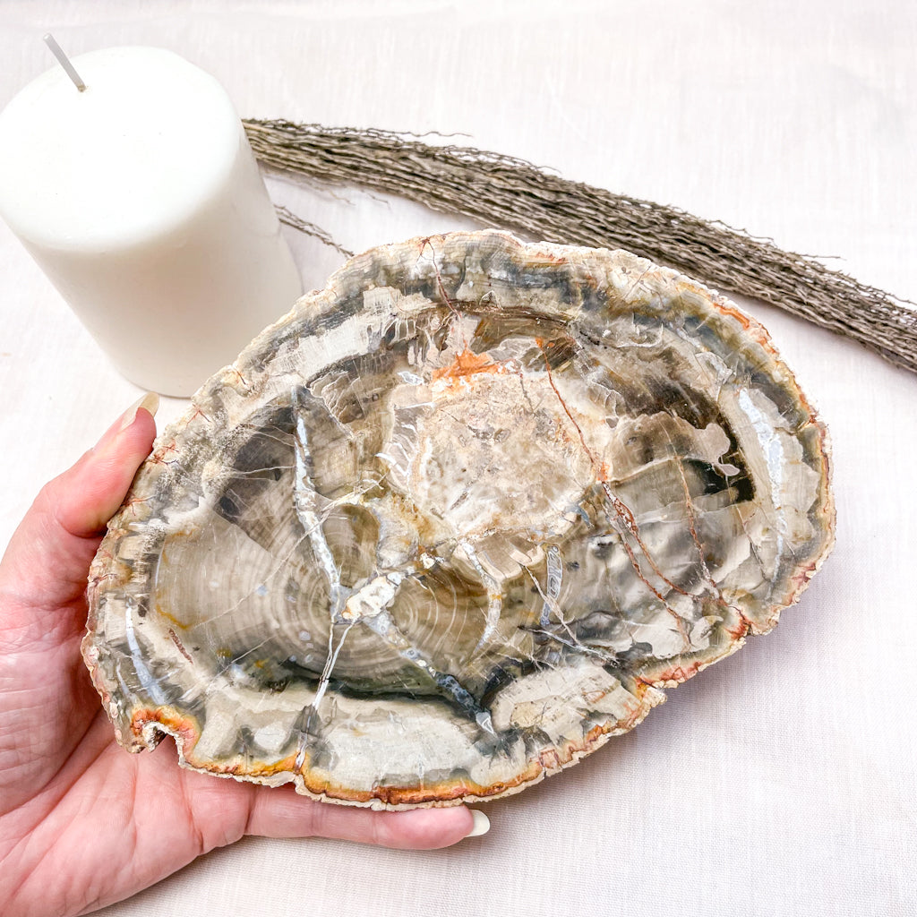 Quartz crystal fossil wood slice slab 1.1kg