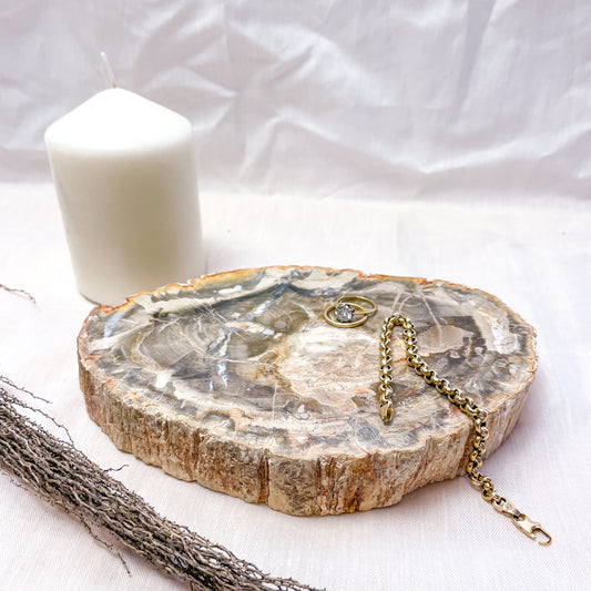 Quartz crystal fossil wood slice slab 1.1kg