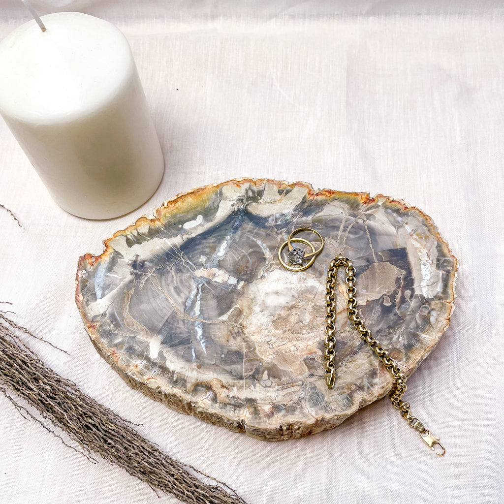 Quartz crystal fossil wood slice slab 1.1kg