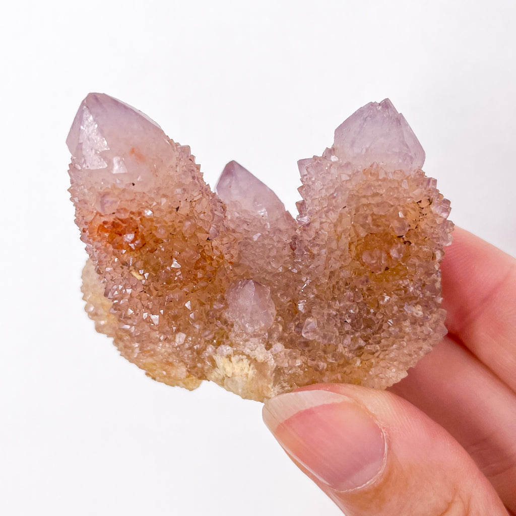 Spirit quartz Amethyst crystal triple cactus cluster
