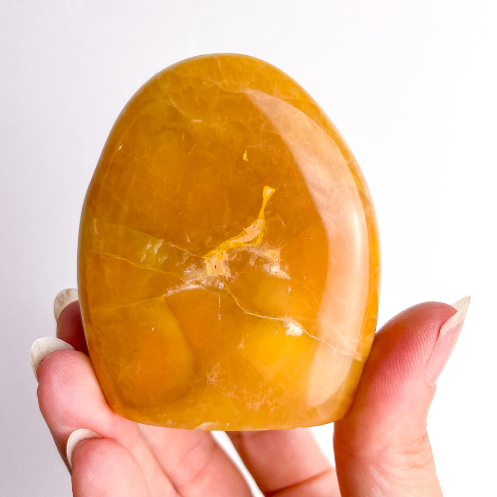 Bumblebee Eclipse jasper polished crystal freeform 7
