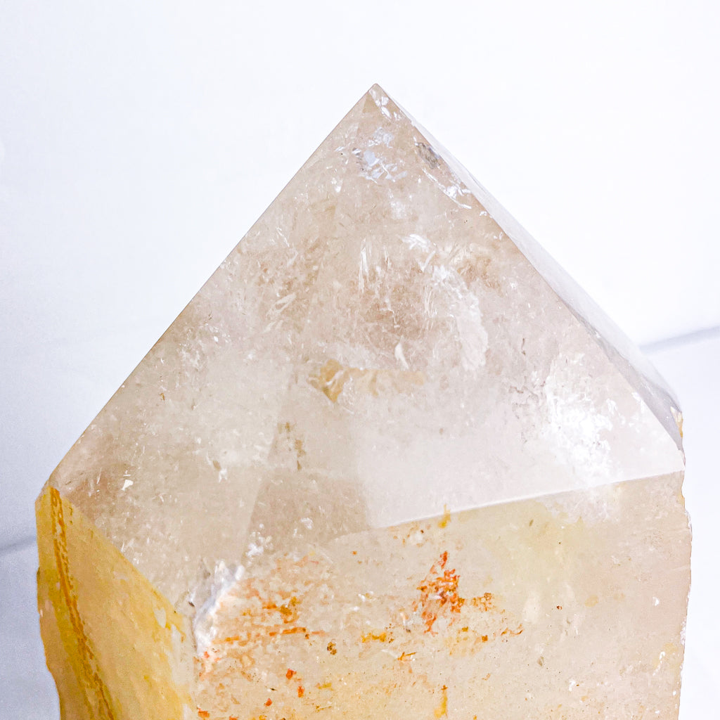 Golden healer quartz crystal raw + polished point generator lamp 3kg XL