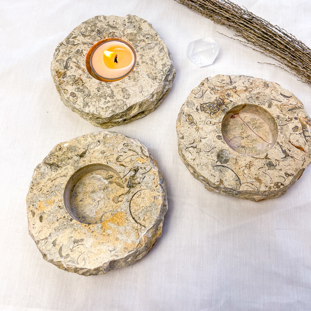 Coral fossil crystal candle holder