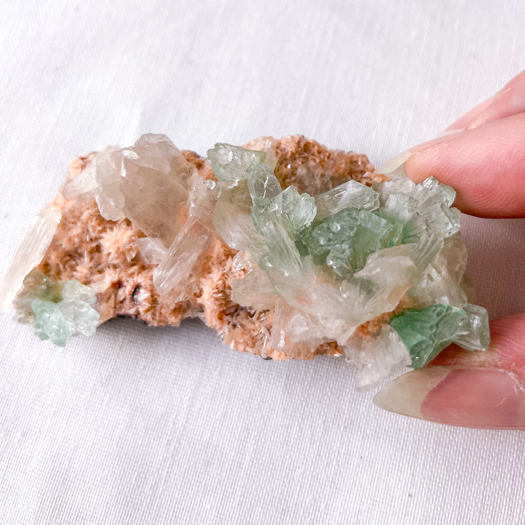 Gorgeous buy Green Apophyllite with Stilbite