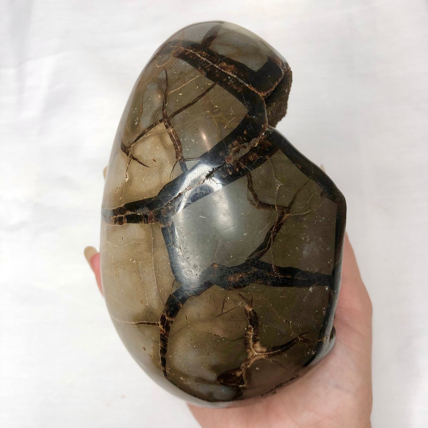 Septarian nodule druzy crystal egg XL with gold stand
