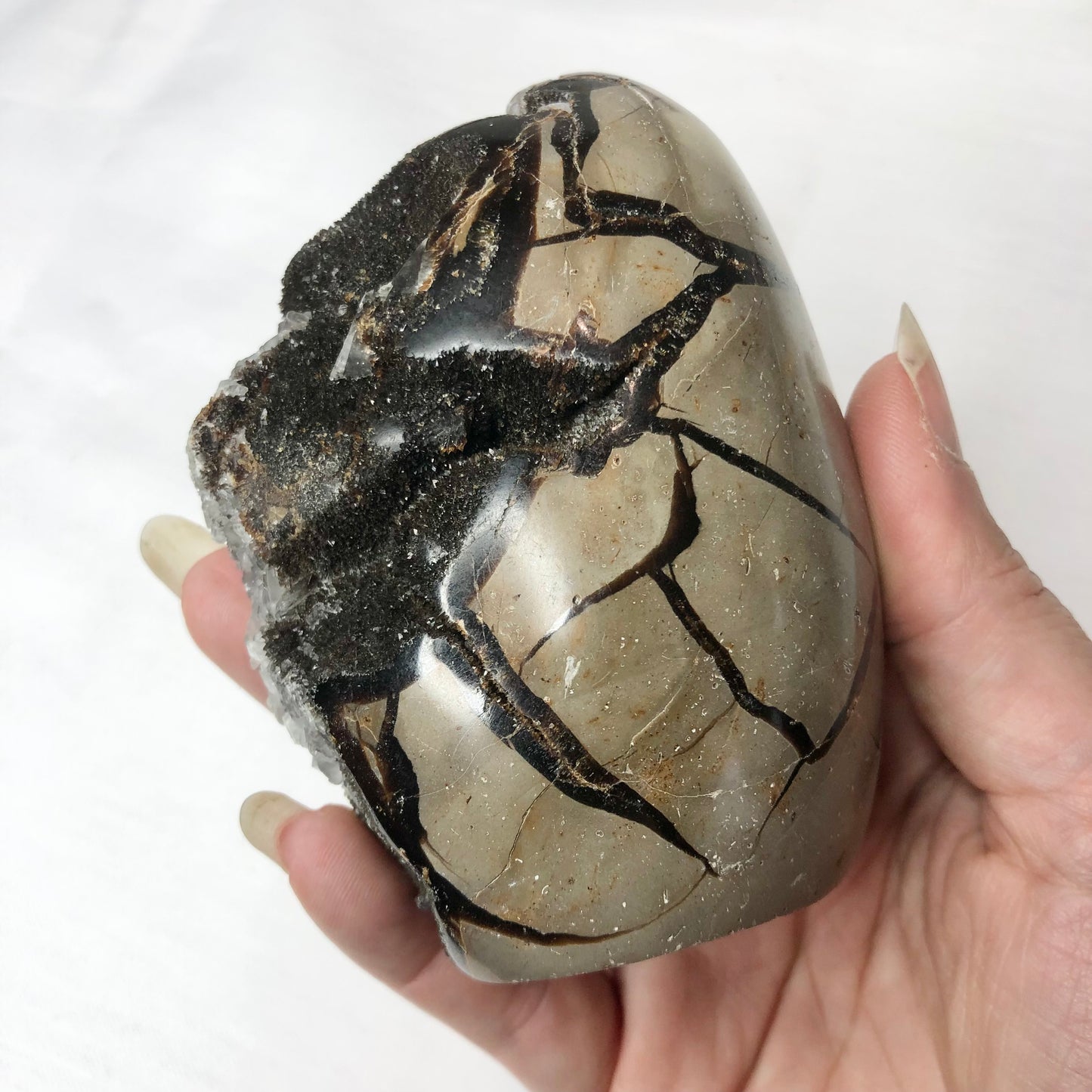 Septarian nodule + Calcite crystal flat base statue M