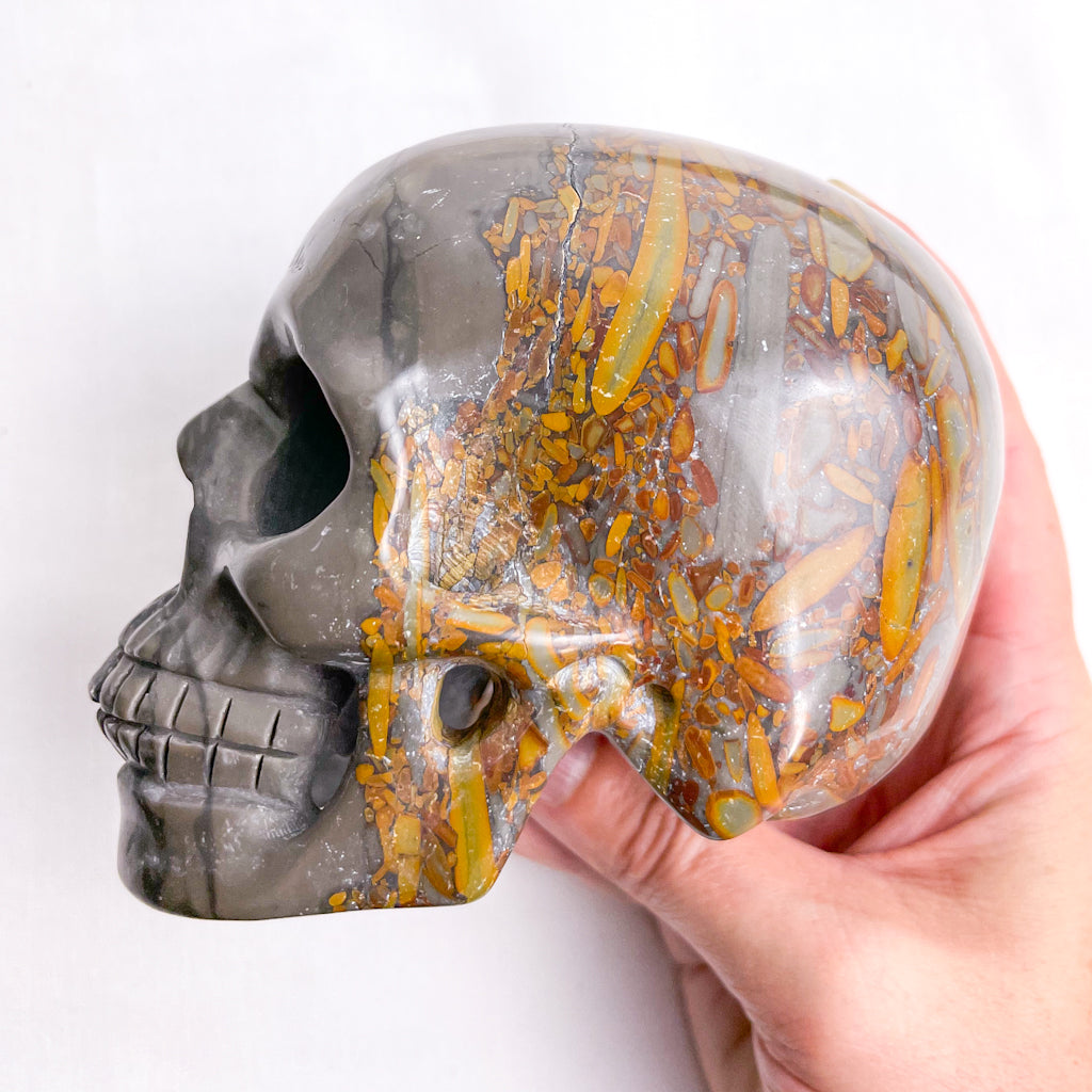 Jasper crystal skull large 900g