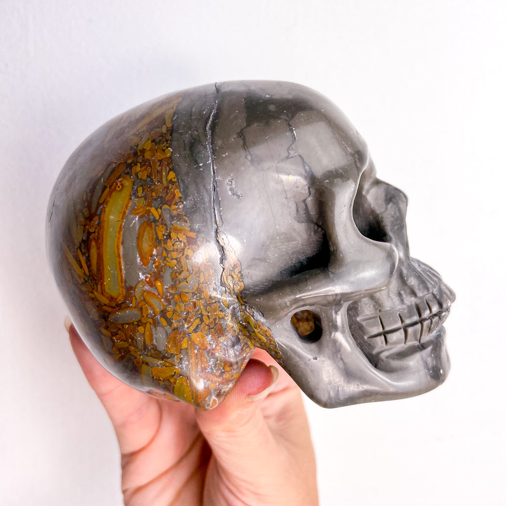 Jasper crystal skull large 900g