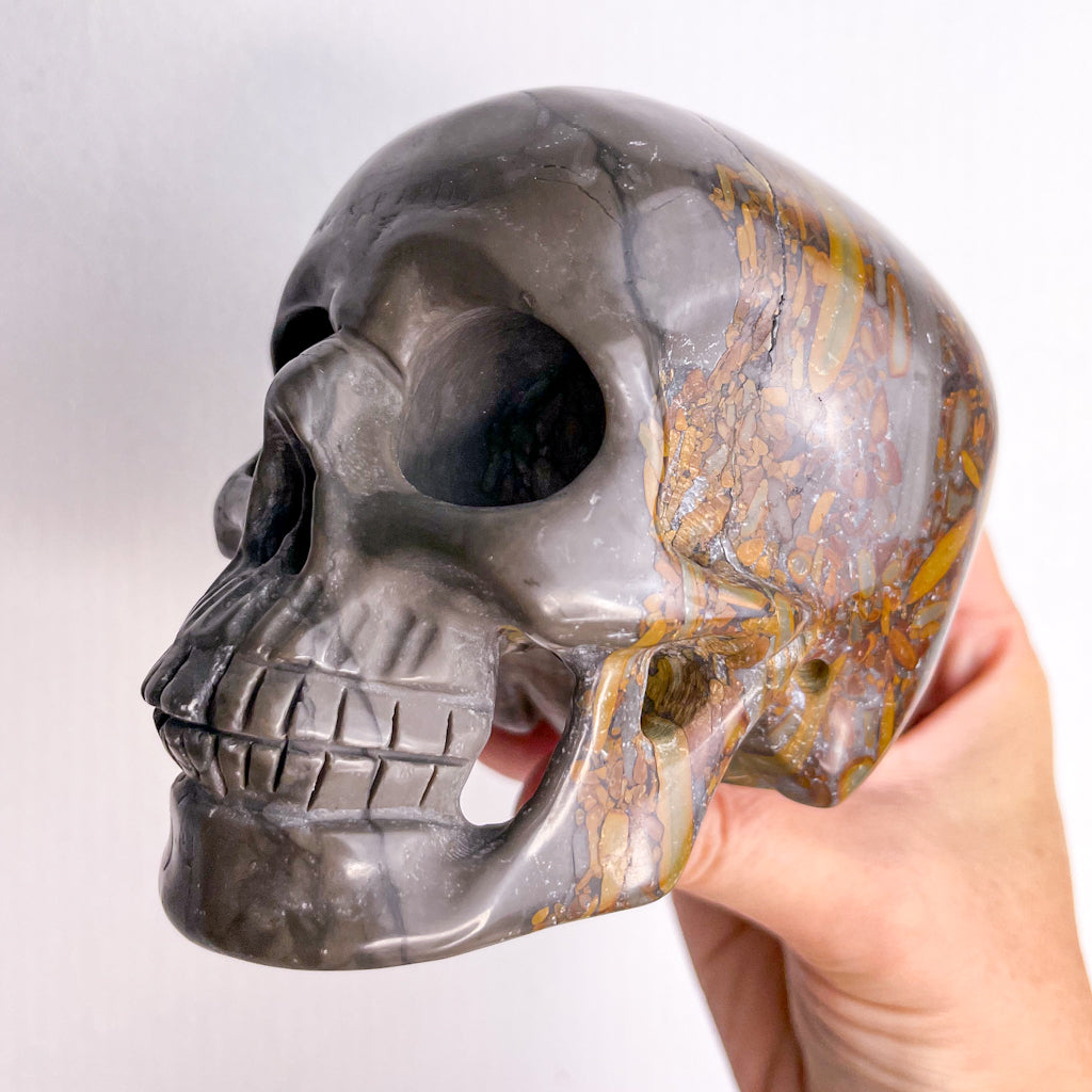 Jasper crystal skull large 900g