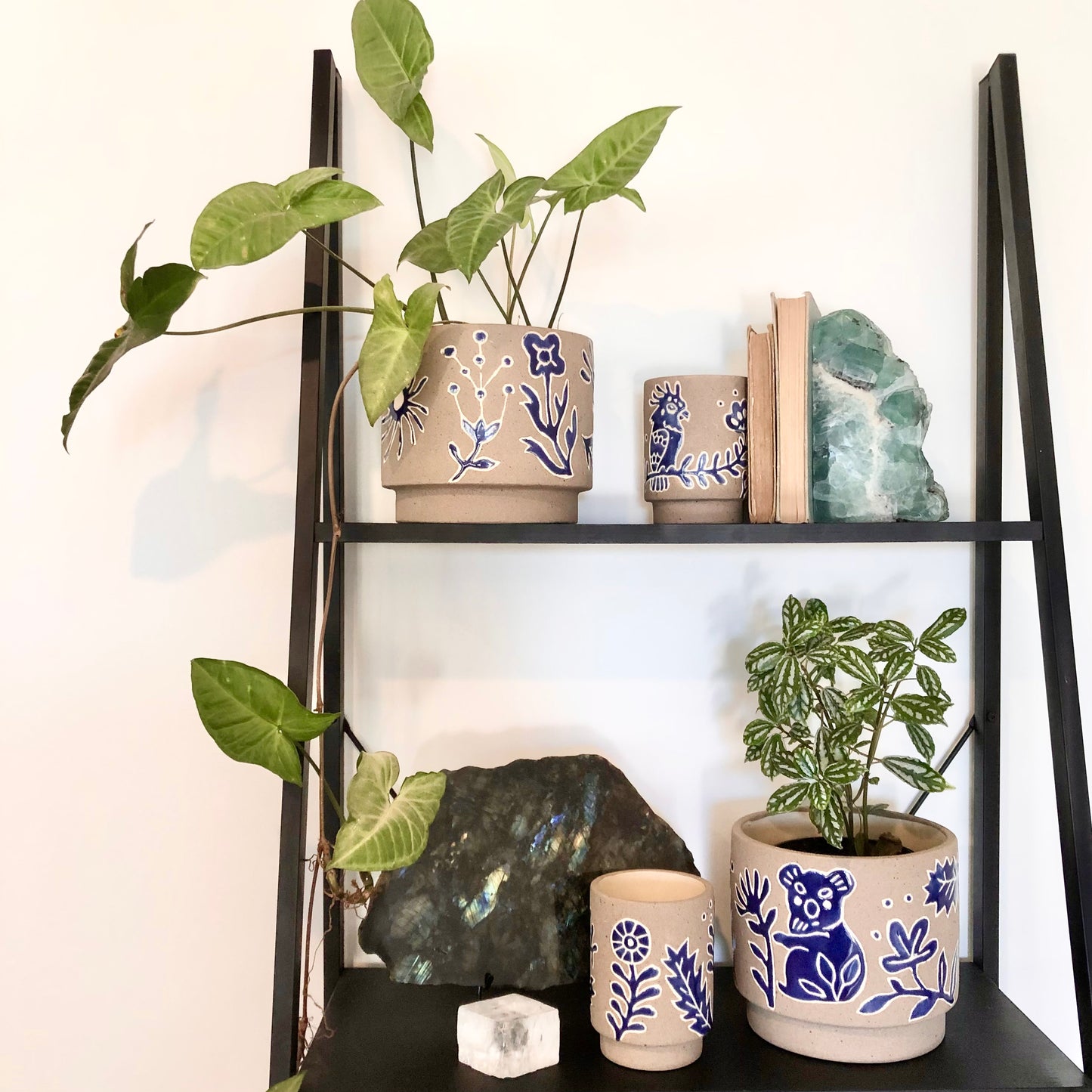 Australian flora + fauna hand glazed planter pot