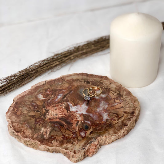 Quartz crystal fossil wood slice slab L 650g