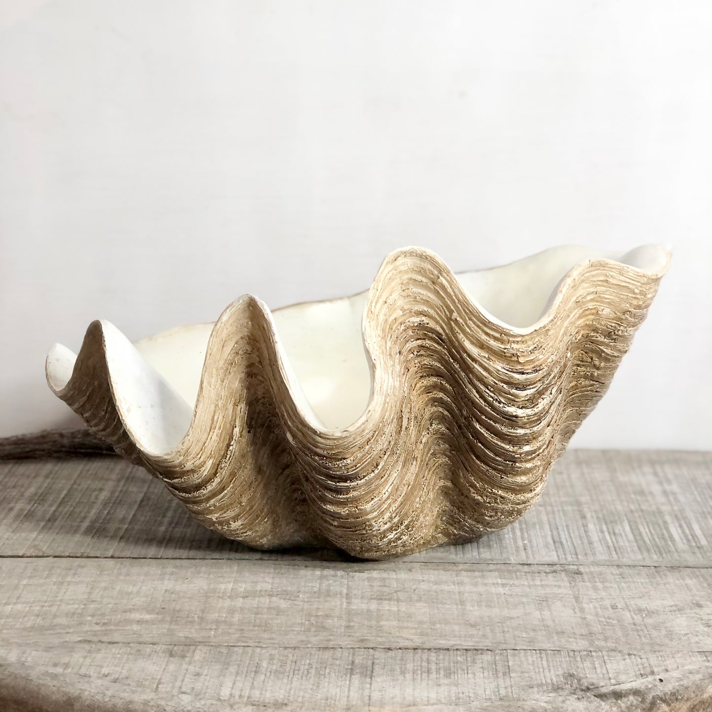 Clam shell display planter pot L