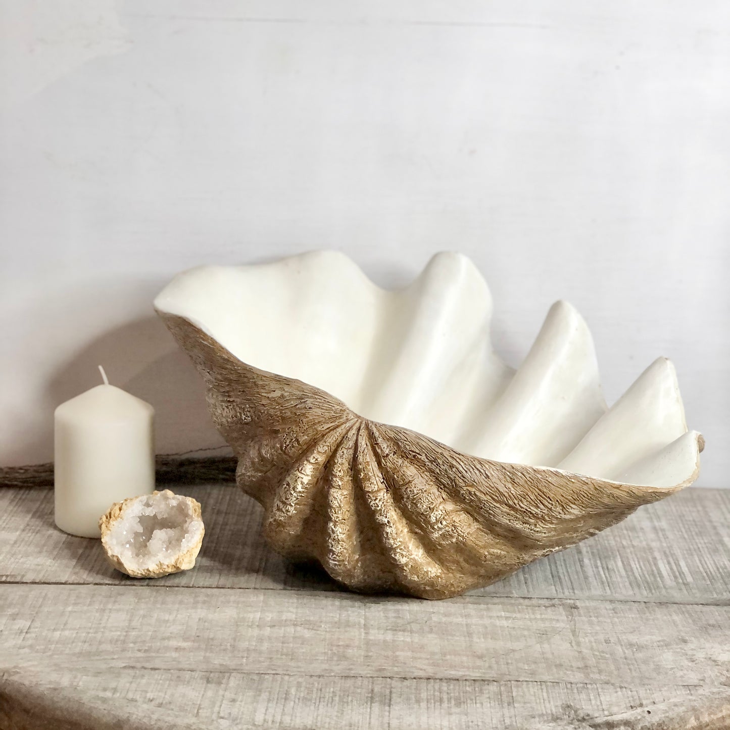 Clam shell display planter pot L