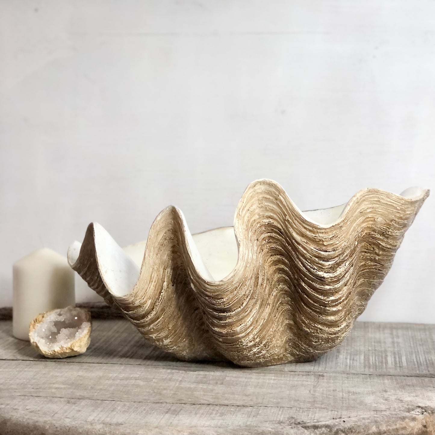 Clam shell display planter pot L