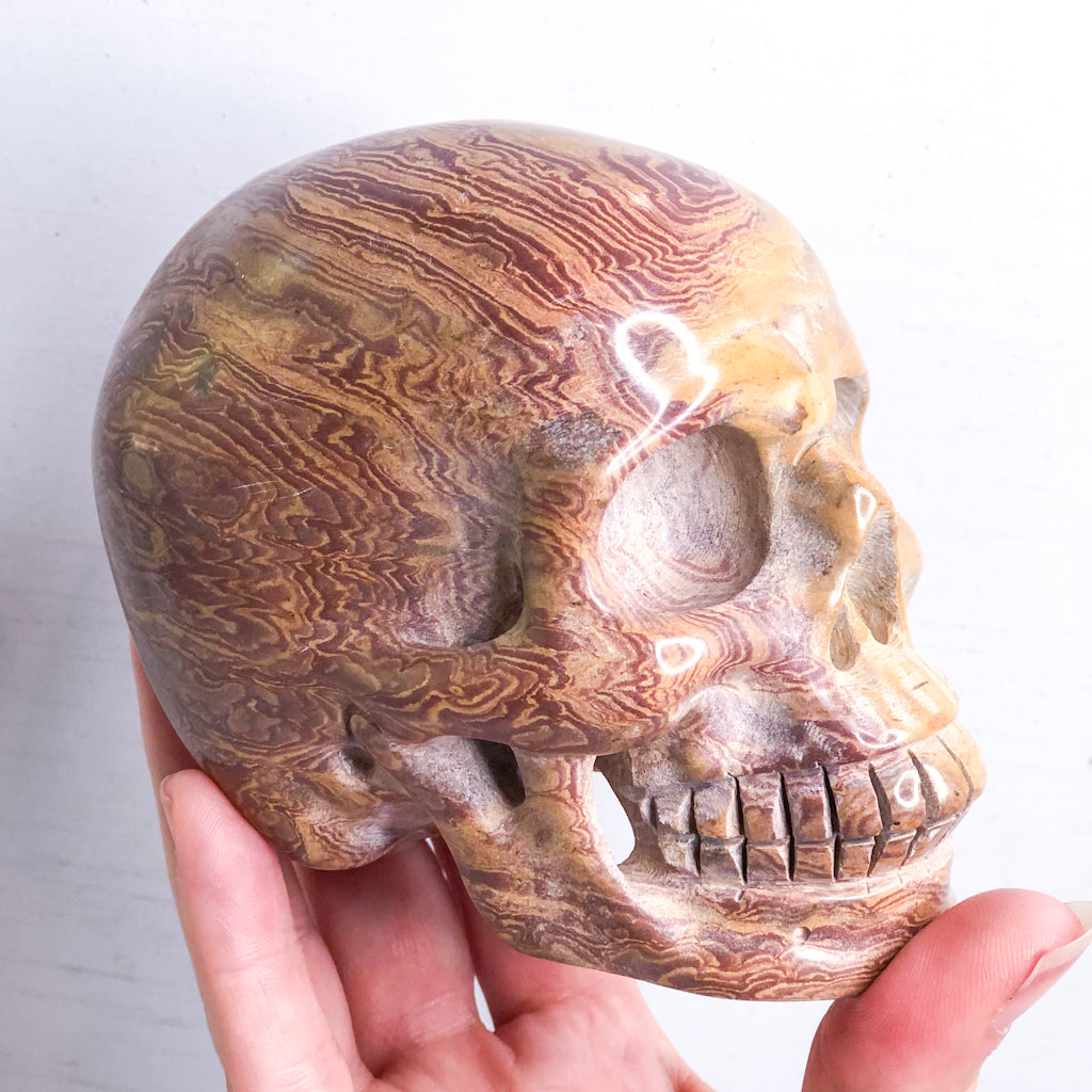 Picture jasper crystal skull L 950g