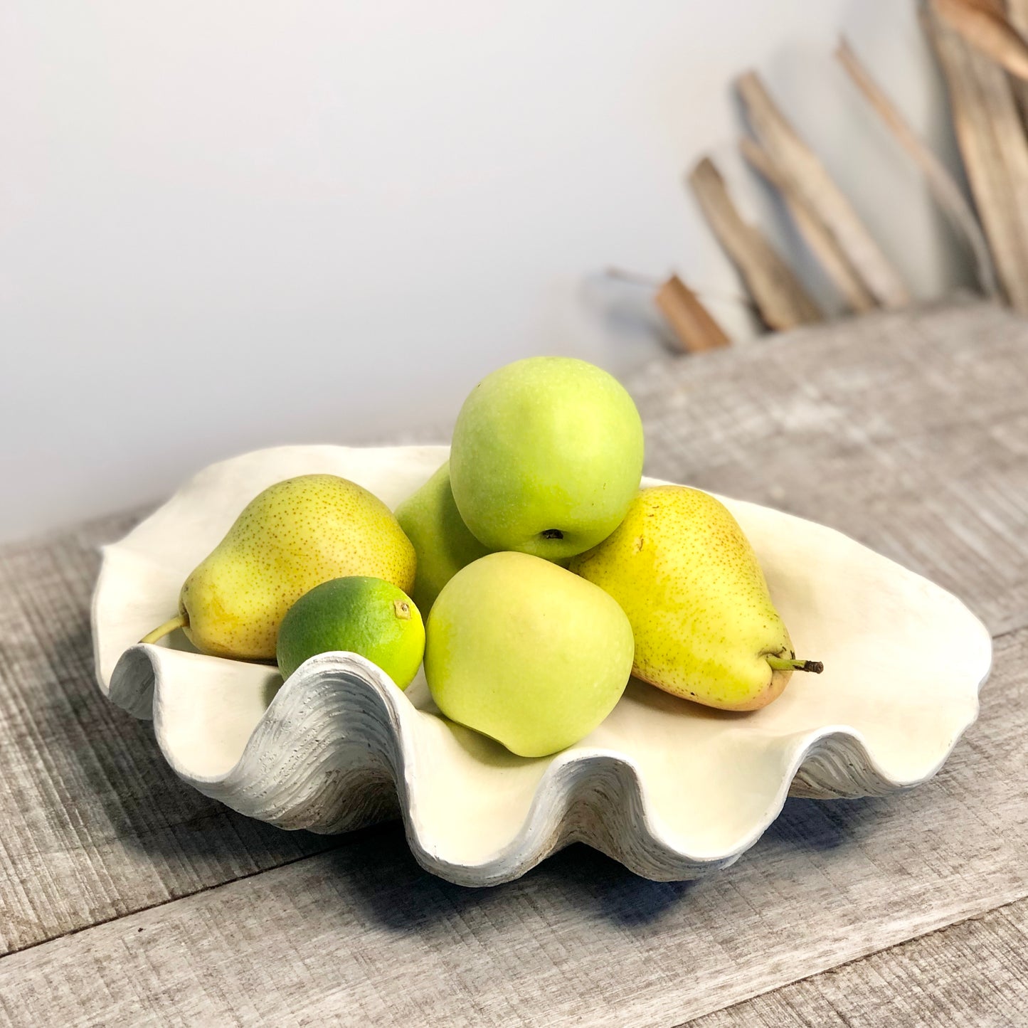 Clam shell display fruit bowl / planter pot