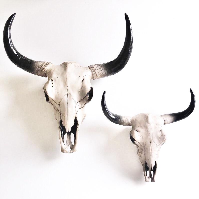 Cow bull skull wall decor