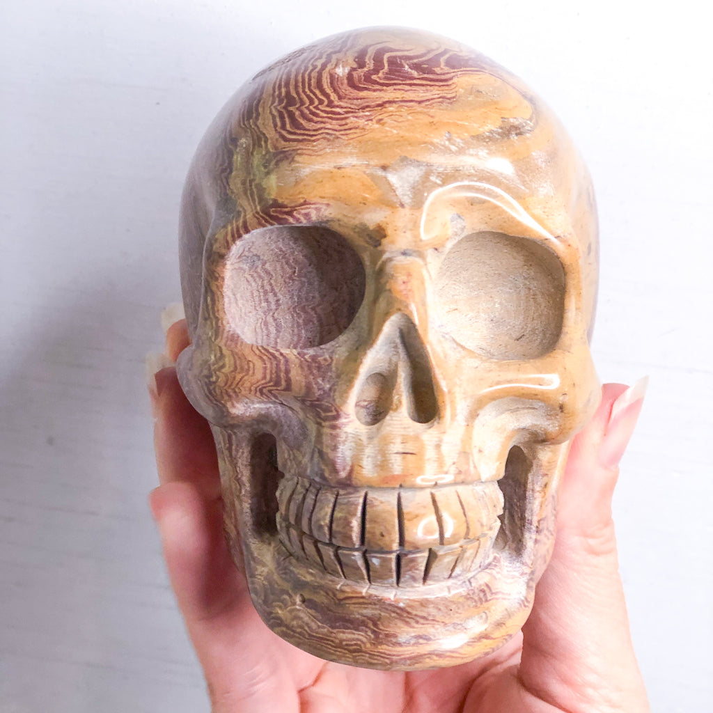 Picture jasper crystal skull L 950g