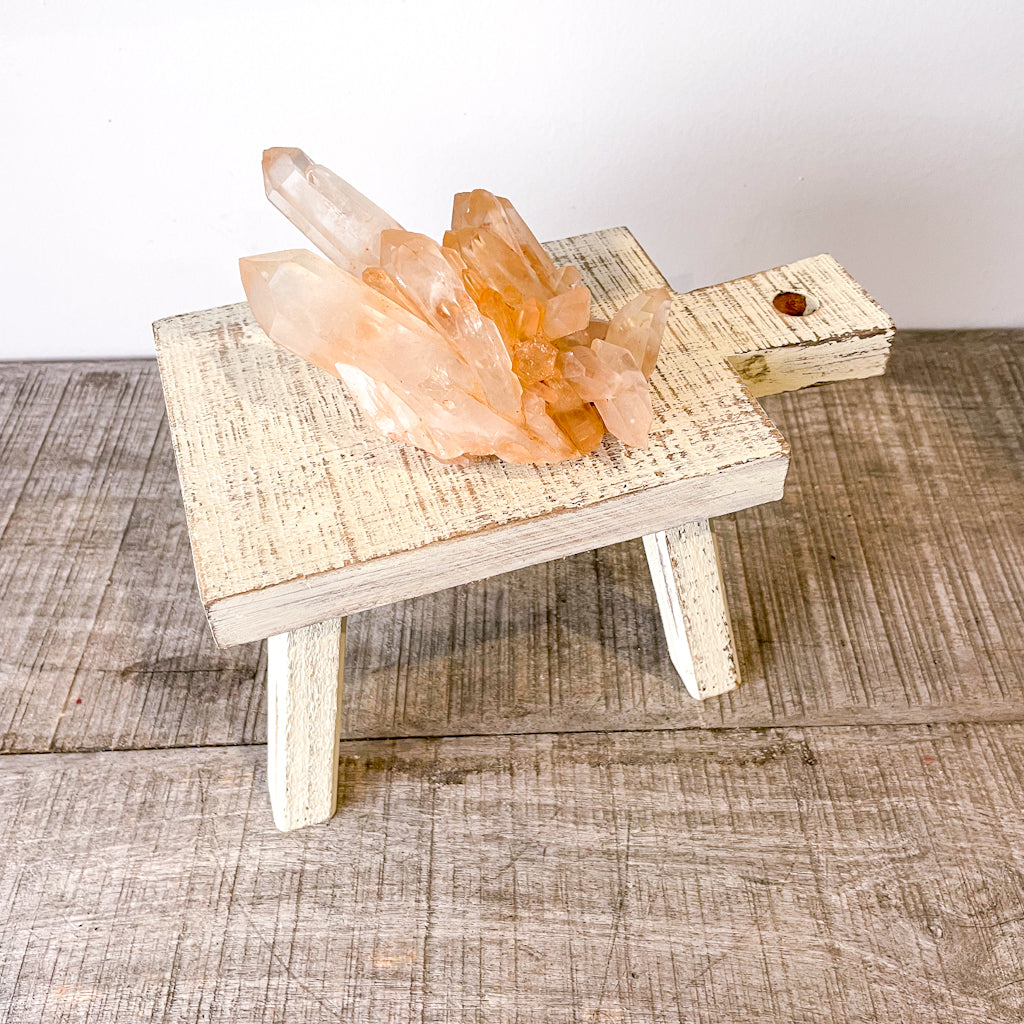 White wash milking stool plant riser / display stand