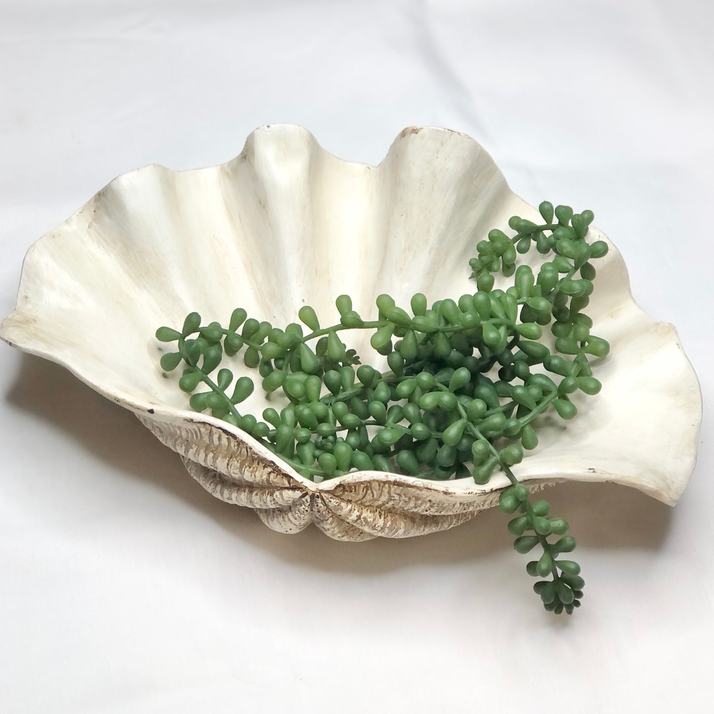 Clam shell display fruit bowl / planter pot