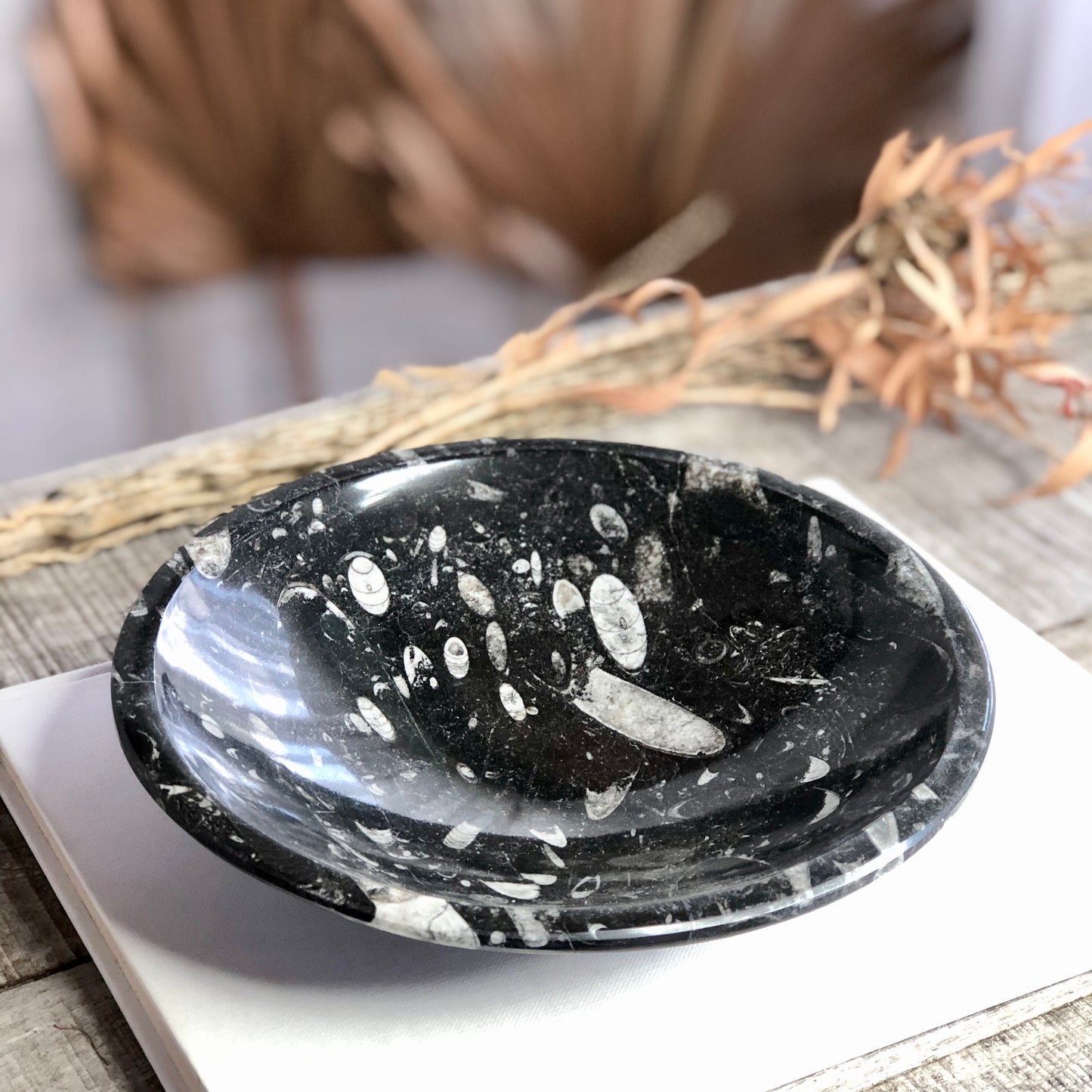 Orthoceras Fossil polished crystal bowl