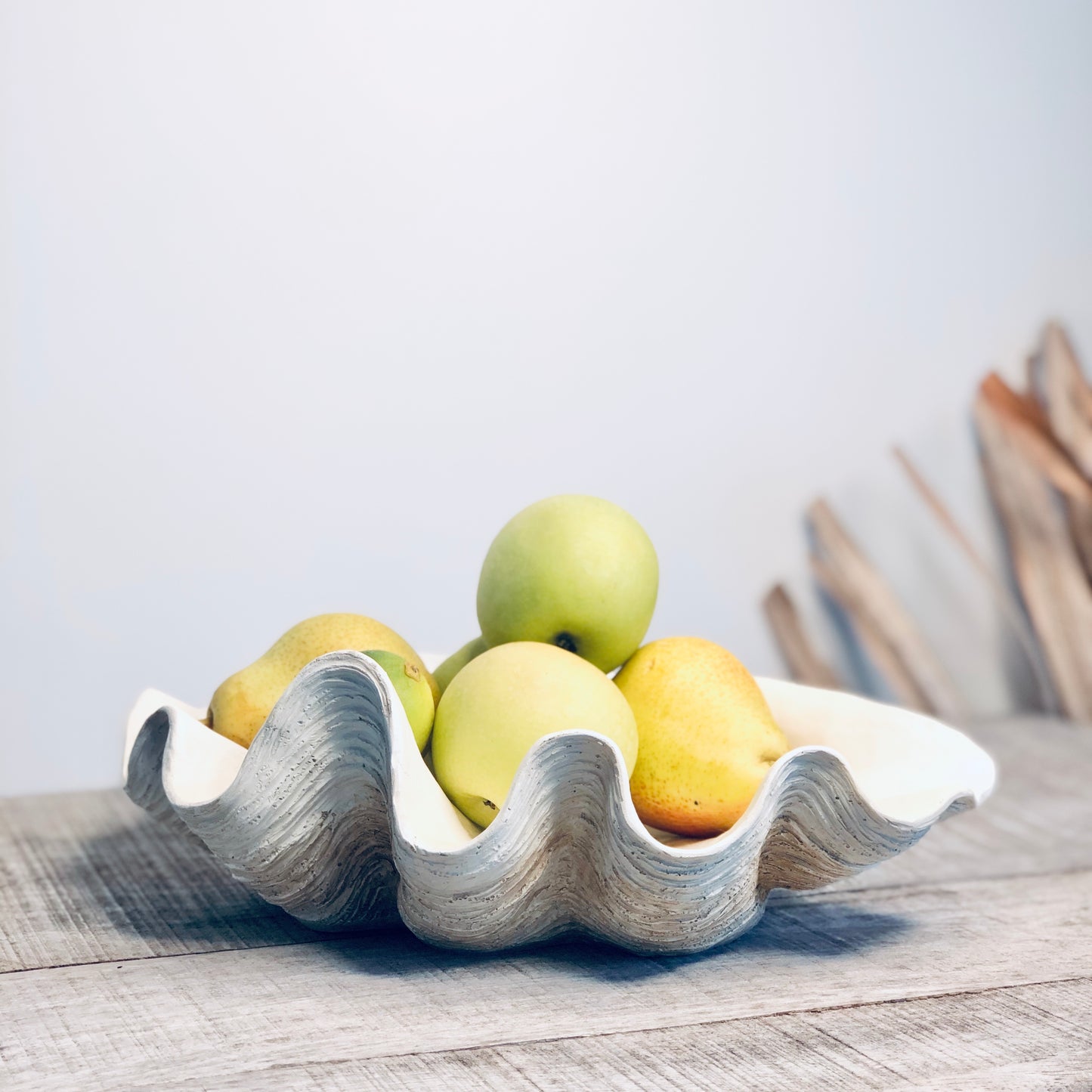 Clam shell display fruit bowl / planter pot